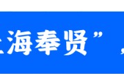 热血绿茵，燃动奉贤！第三届“海里杯”职工足球赛精彩收官